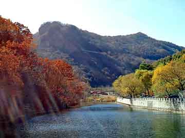 奥门天天开奖免费资料，钢塑土工格栅价格